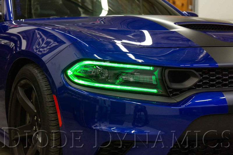 Diode Dynamics RGBW DRL LED Boards for 2019-2021 Dodge Charger - DD2282