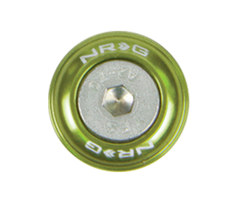 NRG Fender Washer Kit w/ Rivets For Plastic (Chrome Gold) - Set of 10 - FW-100CG - front view