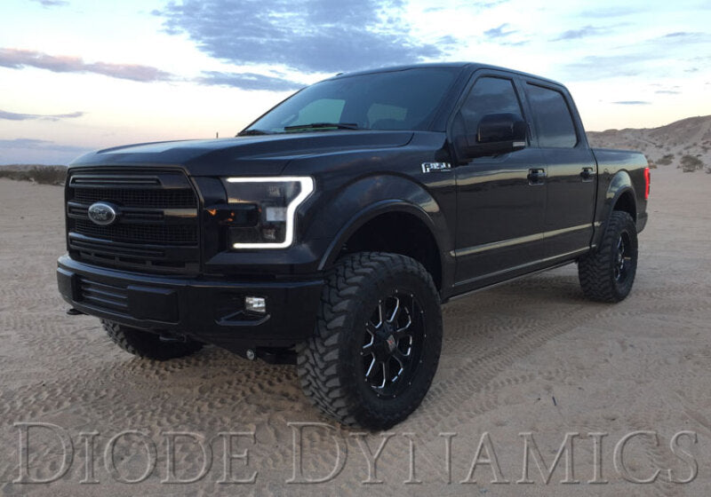 Diode Dynamics 15-17 Ford F-150/17-19 Ford Raptor Switchback LED Boards - DD2005