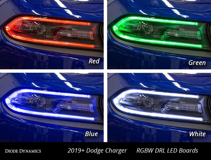 Diode Dynamics RGBW DRL LED Boards for 2019-2021 Dodge Charger - DD2282