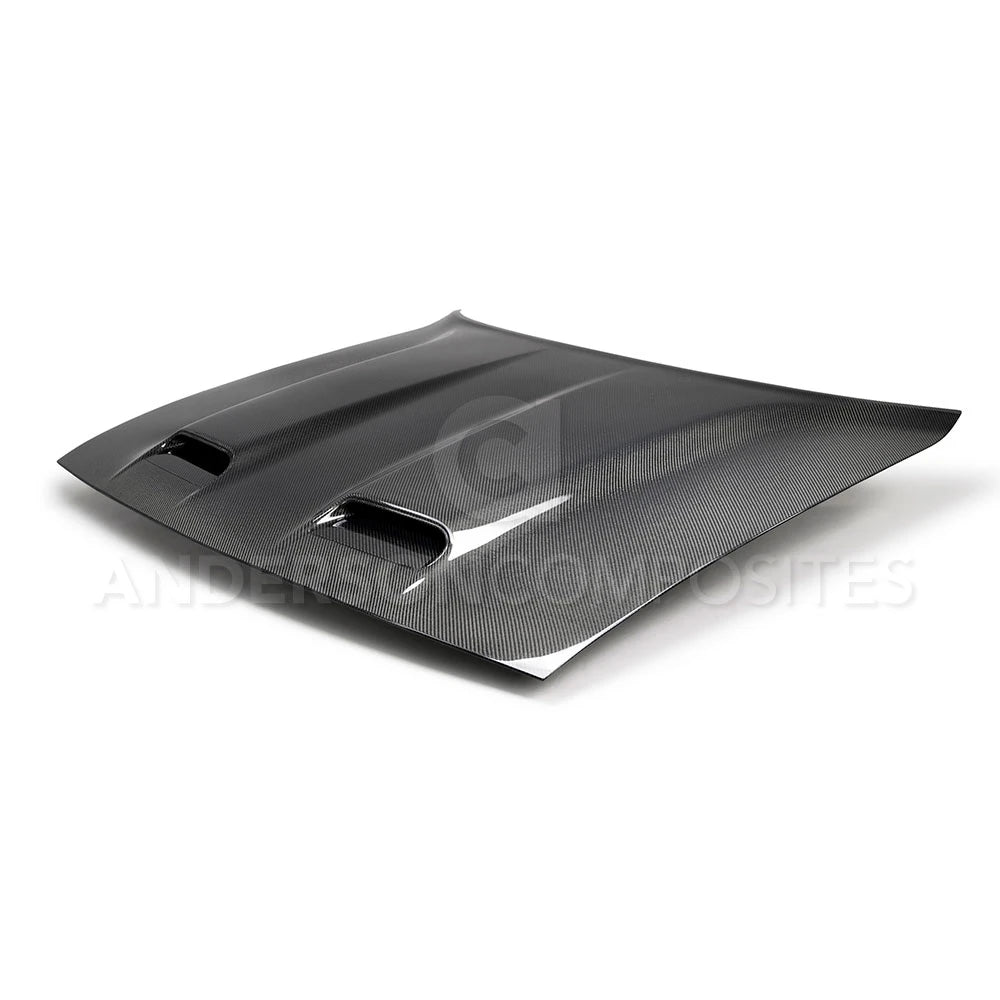 Anderson Composites 2019 Dodge Challenger Hellcat/Redeye Type-RE Style Hood - AC-HD19DGCHHC-RE