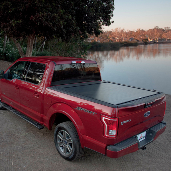 Pace Edwards 04-14 Ford F-Series LightDuty 8ft Bed BedLocker - BLF3042
