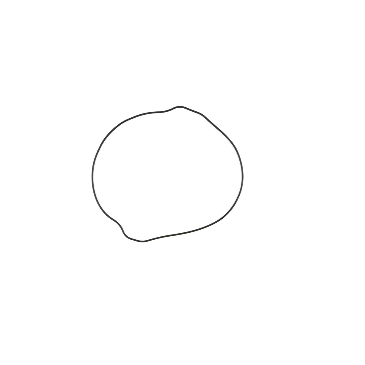 User 4