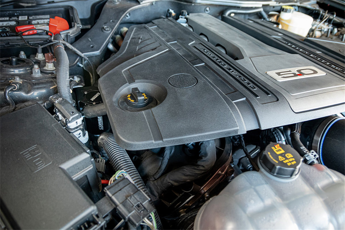 Corsa 2018+ Ford Mustang GT Catch Can - CC0003