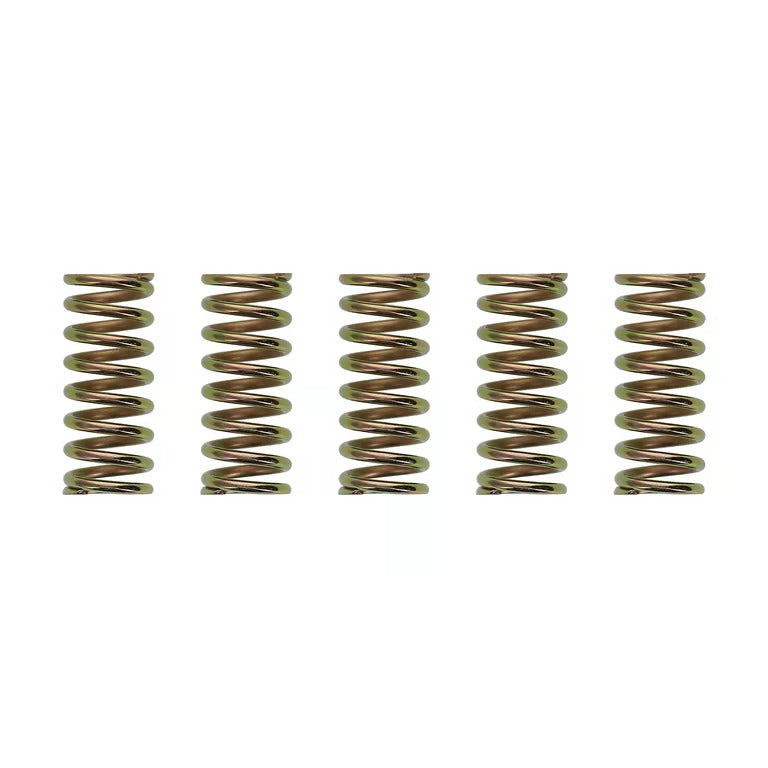 Wiseco XR400/TRX250/ATC250R Clutch Spring Kit - CSK007