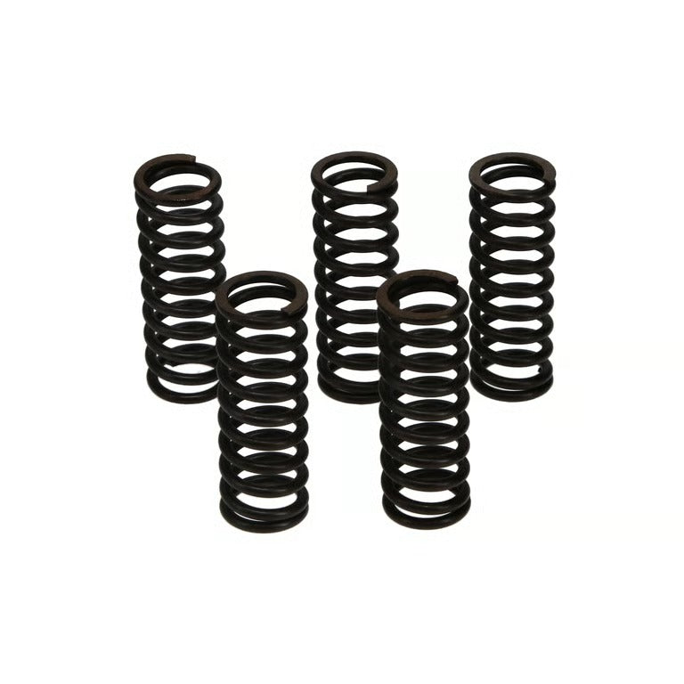 Wiseco 92-07 Kawasaki KX250 Clutch Spring Kit - CSK016
