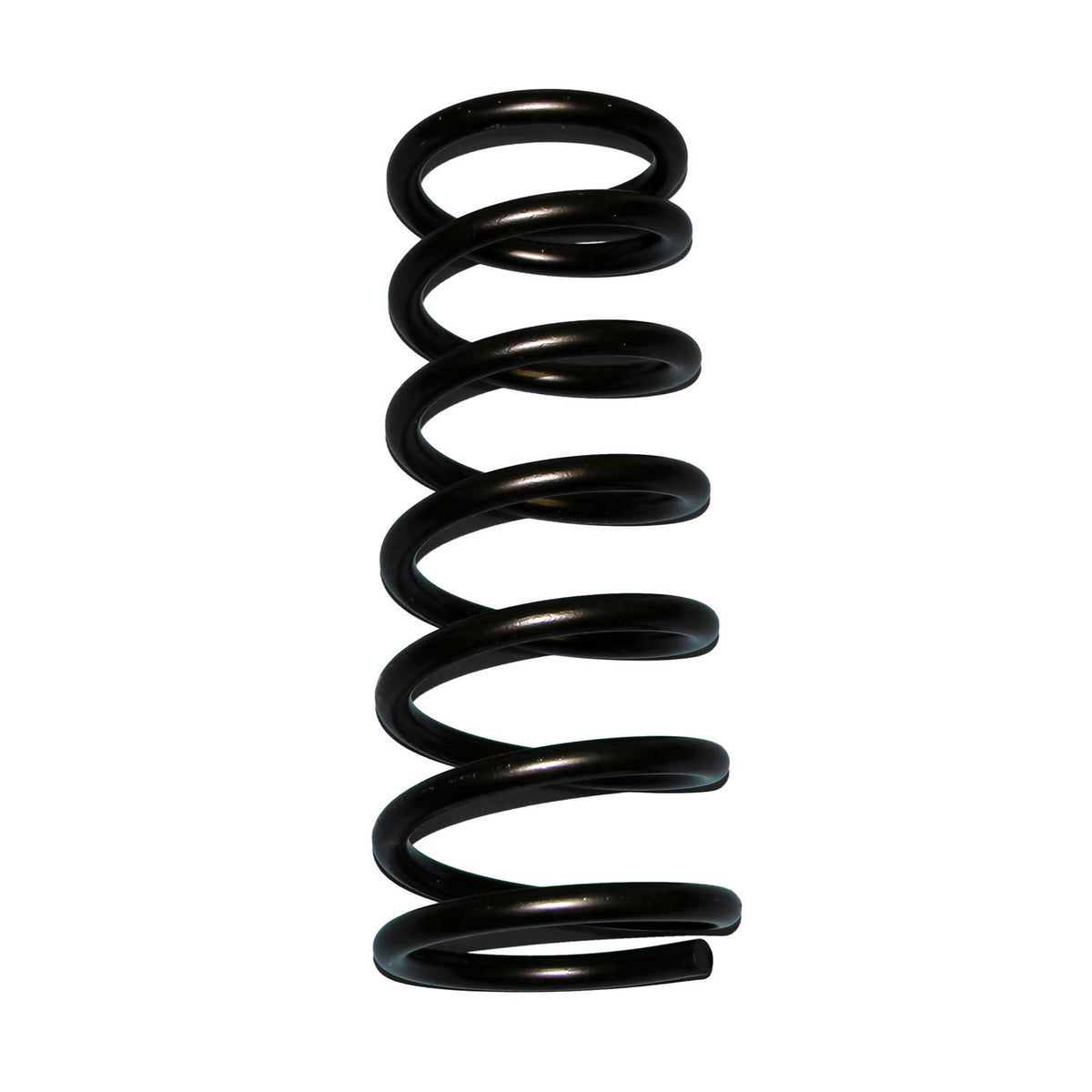 Skyjacker Coil Spring Set 1994-2001 Dodge Ram 1500 4 Wheel Drive - D20