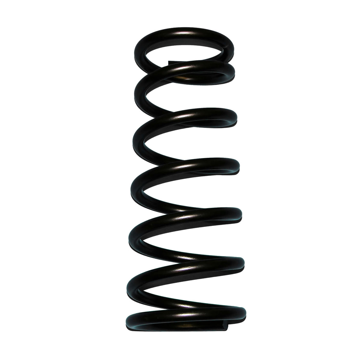Skyjacker Coil Spring Set 1994-2001 Dodge Ram 1500 4 Wheel Drive - D30