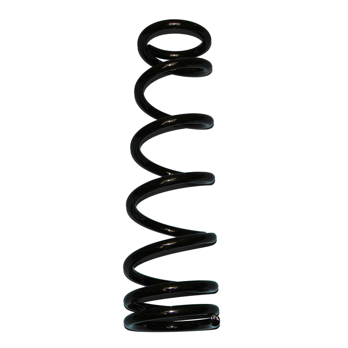 Skyjacker Coil Spring Set 1994-2002 Dodge Ram 2500 4 Wheel Drive - D75