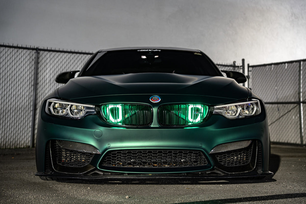 2014-2019 BMW M3 (F80) Dual BIG MOUTH LIT KIT Ram Air Intake Snorkels
