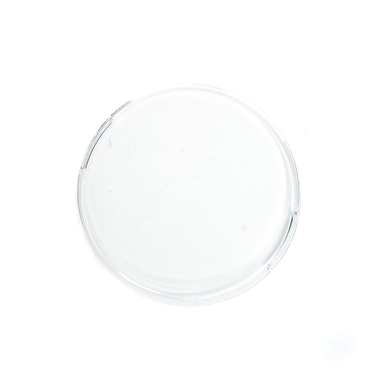 Baja Designs Squadron-R 2.0 Rock Guard (Single) - Clear - 668019
