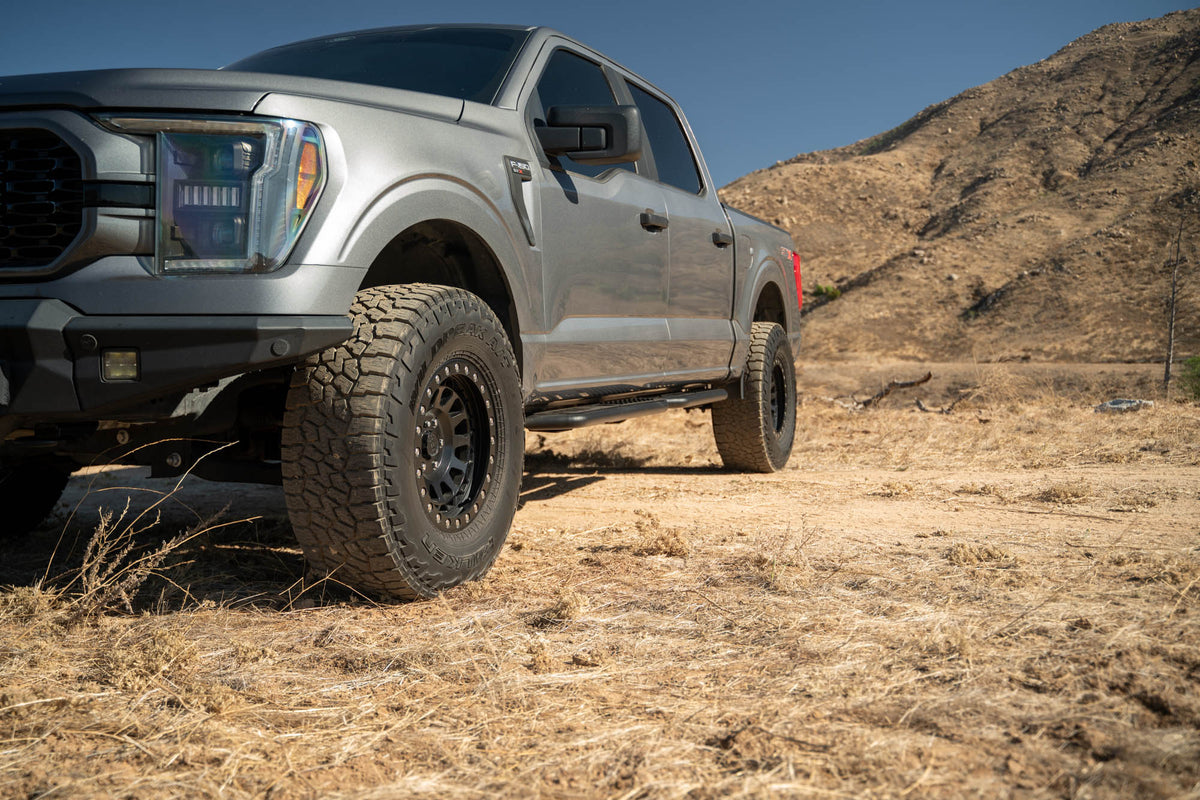 DV8 Offroad - 2015-2026 Ford F-150 Crew Cab & Raptor | OE Plus Side Steps - SRFF1-01