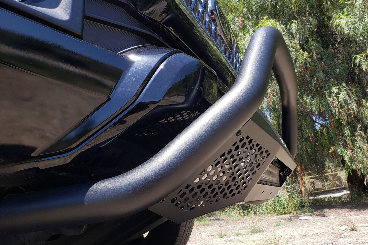 Photo - Close up