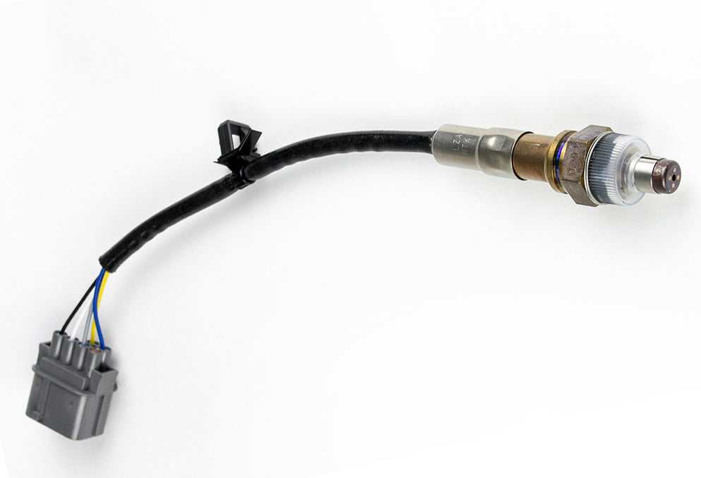Haltech - Haltech Wideband O2 Sensor (NTK LZA08-H5) - HT-010712