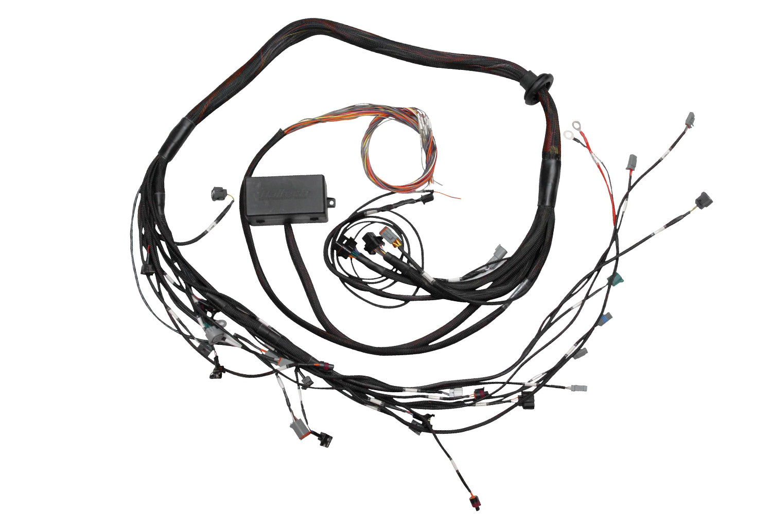 Haltech - Haltech Elite 2000/2500 Terminated Engine Harness - HT-130318