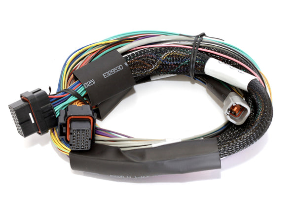 Haltech - Haltech Elite 2500 8ft Basic Universal Wire-In Harness (No Relays or Fuses) - HT-141302
