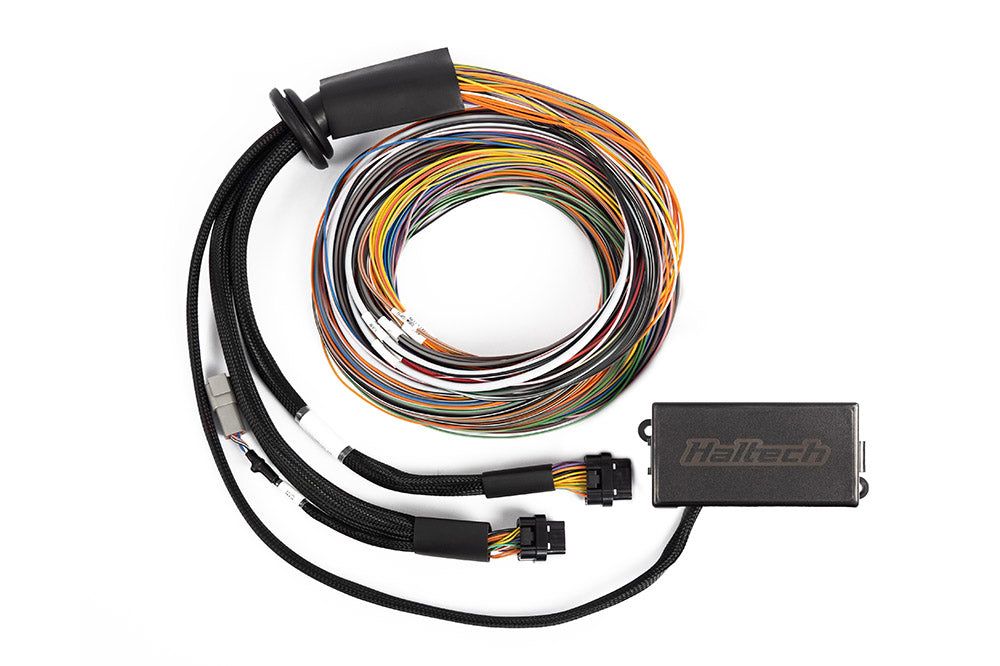 Haltech - Haltech Elite 2500/2500 T 8ft Premium Universal Wire-In Harness - HT-141304