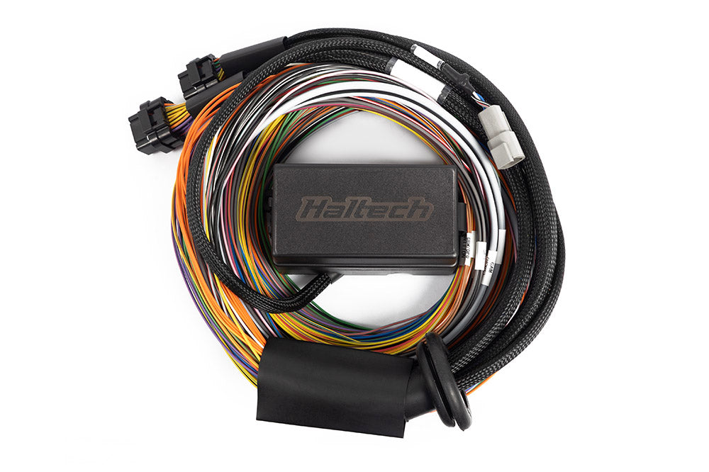 Haltech - Haltech Universal Elite 2500/2500 T Premium Wire-In Harness - HT-141306