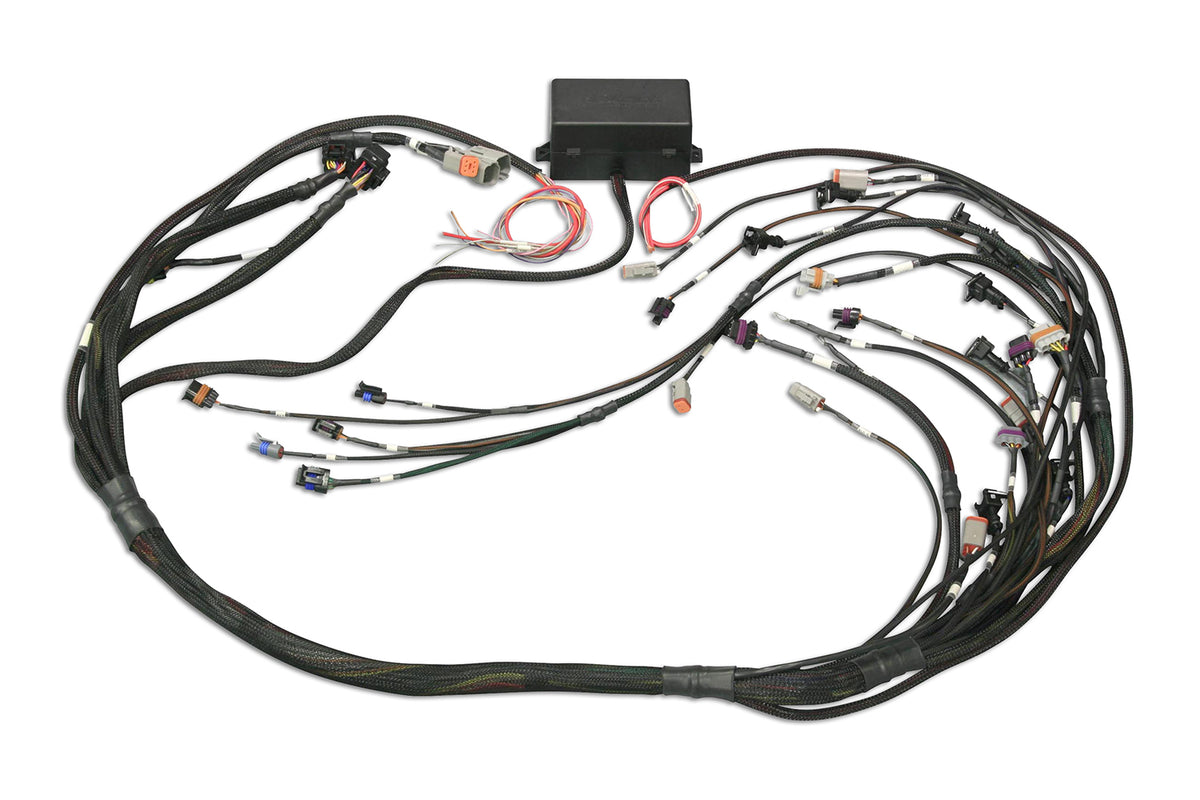 Haltech - Haltech GM GEN III LS1 & LS6 (Non DBW) Elite 2000/2500 Terminated Harness w/EV1 Injector Connectors - HT-141360