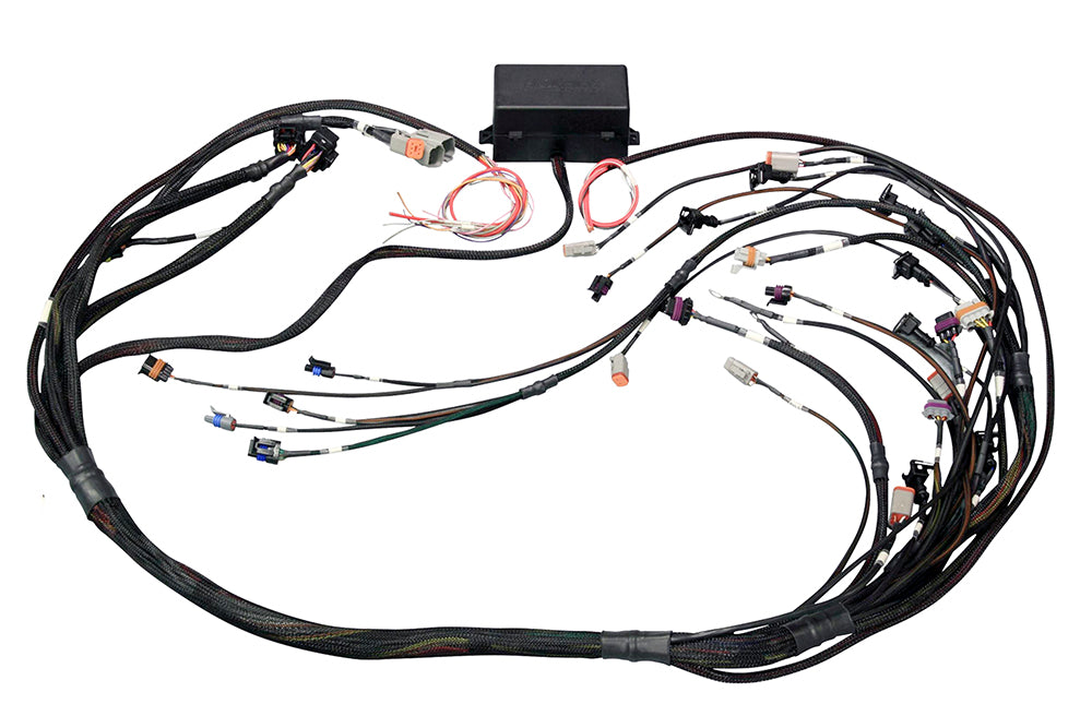 Haltech - Haltech GM GEN IV (LS2/LS3 Non DBW) Elite 2000/2500 Terminated Harness w/EV6 Inj Connectors - HT-141365