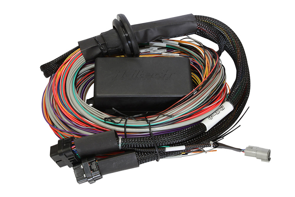 Haltech - Haltech Elite 1500 Premium Universal Wire-In Harness ECU Kit - HT-150904