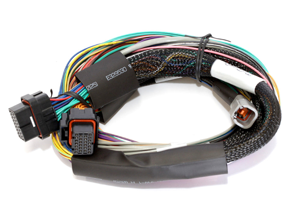 Haltech - Haltech Elite 2500 Basic Universal Wire-In Harness ECU Kit - HT-151302
