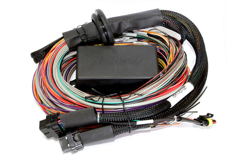 Haltech - Haltech Elite 2500 16ft Premium Universal Wire-In Harness ECU Kit - HT-151305
