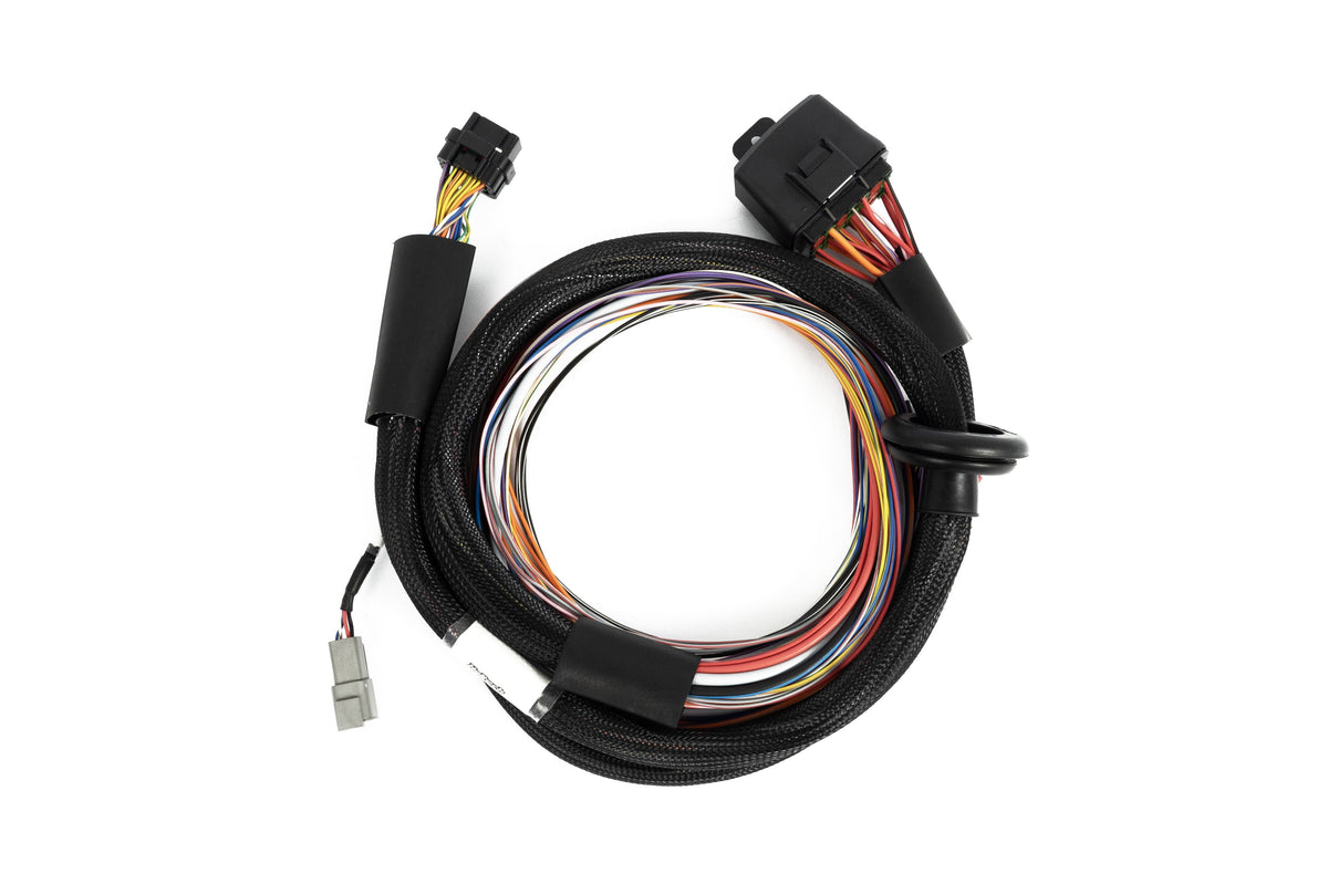 Haltech Nexus T2/T1 Premium Universal Wire-In Harness HT-181201
