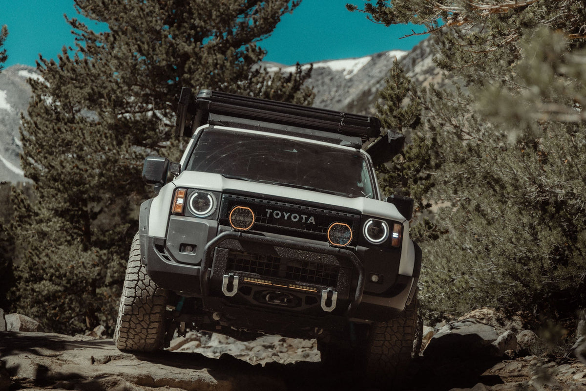 DV8 Offroad - 2024-2026 Toyota Land Cruiser Brush Guard - LBTF4-02