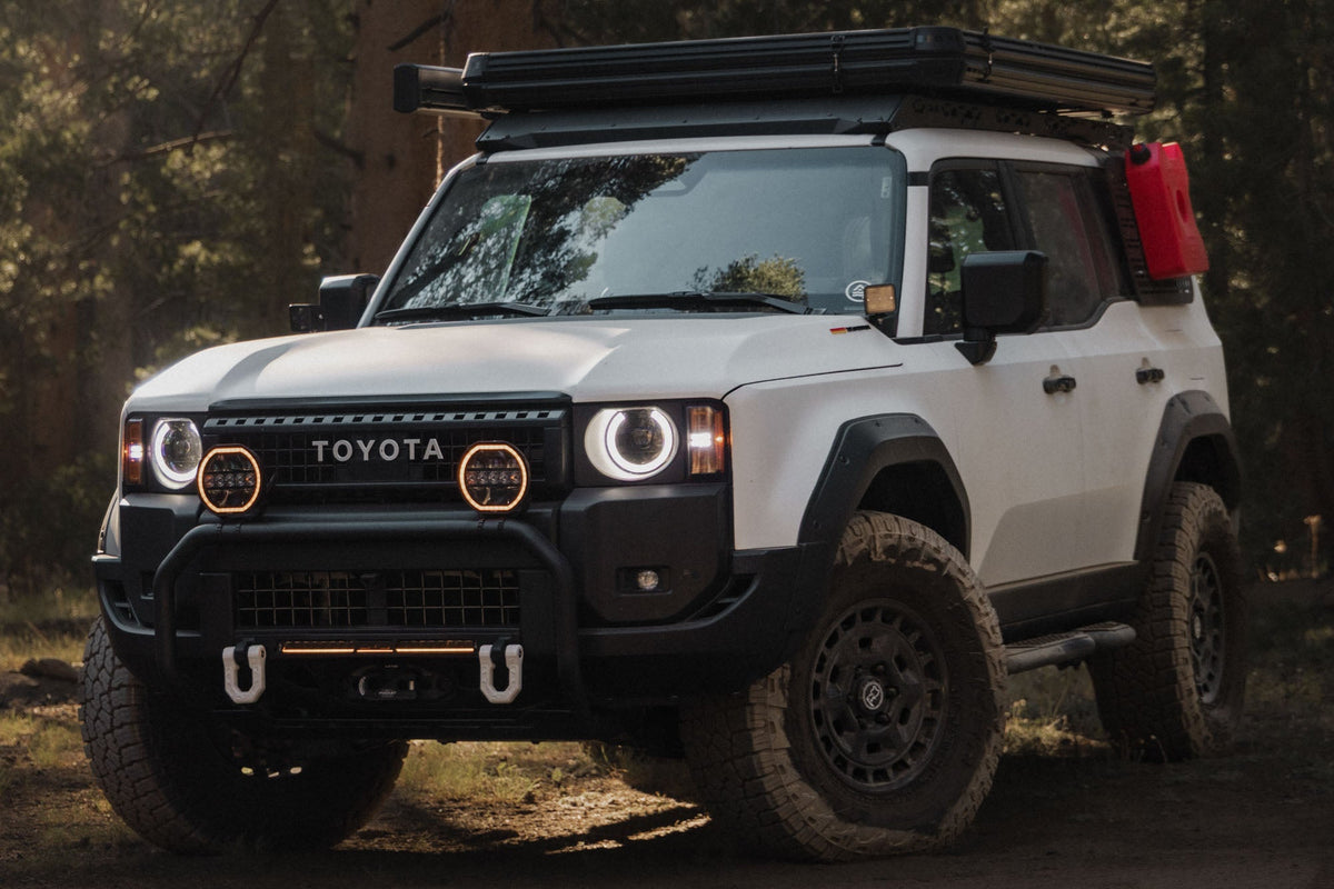 DV8 Offroad - 2024-2026 Toyota Land Cruiser Brush Guard - LBTF4-02