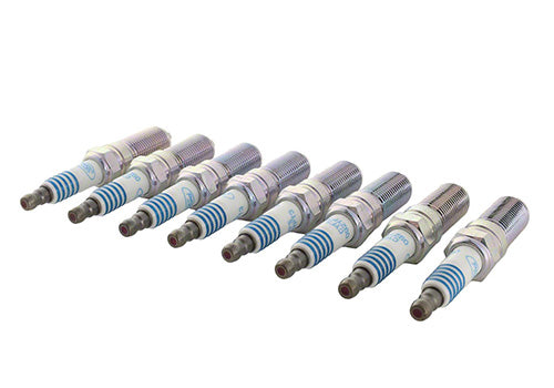 Ford Performance - Performance 5.0l Coyote Cold Spark Plug Set - M-12405-M50A