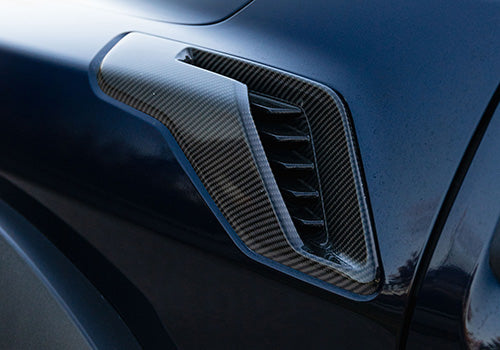 Ford Performance - F-150 Raptor Carbon Fiber Fender Vent Set - Gloss - M-16026-FG