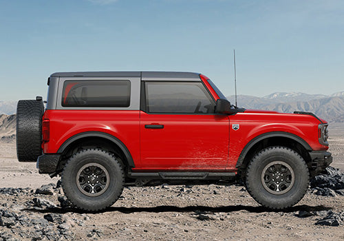 Ford Performance - Bronco Hoop Step 2 Door - M-16450-BHS2