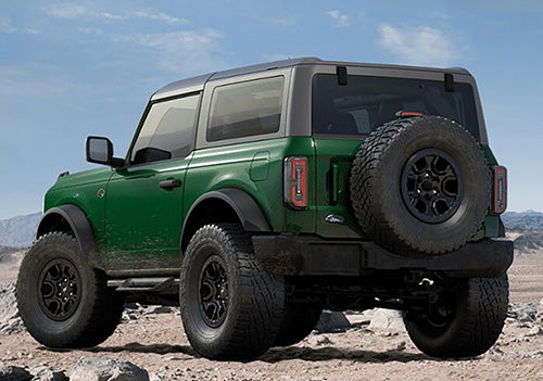 Ford Performance - Bronco Hoop Step 2 Door - M-16450-BHS2