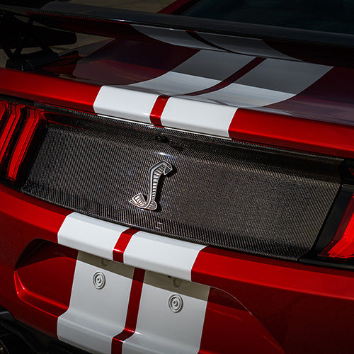 Ford Performance - 2020-2022 Gt500 Carbon Fiber Rear Deck Lid Trim Panel - M-16600-MCF