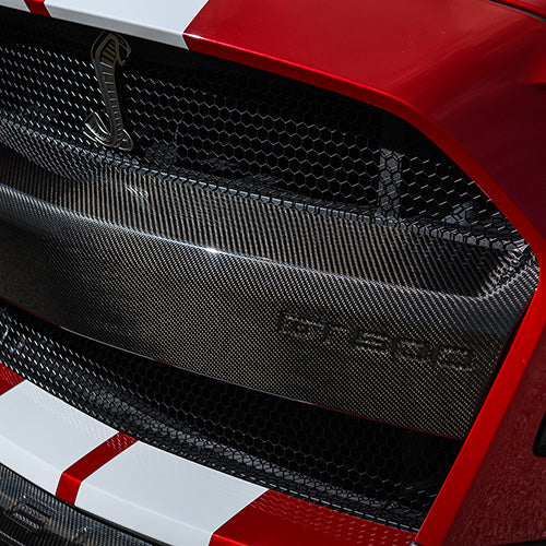 Ford Performance - 2020-22 Gt500 Carbon Fiber Bumper Insert - M-17750-MCF
