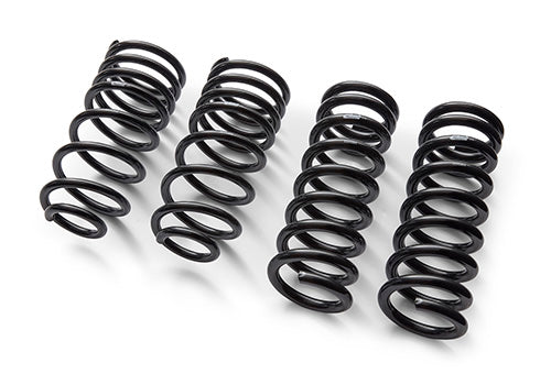 Ford Performance - 1979-2004 Mustang Front/rear Spring Kits - M-5300-G