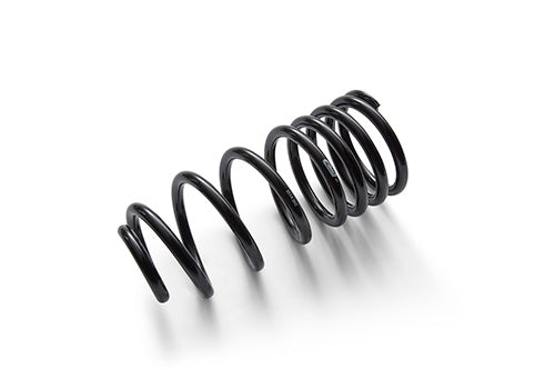 Ford Performance - 1979-2004 Mustang Front/rear Spring Kits - M-5300-G