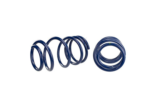 Ford Performance - 2007-2014 Mustang Shelby Gt500 Springs - M-5300-L
