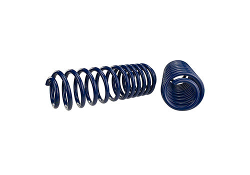 Ford Performance - 2007-2014 Mustang Shelby Gt500 Springs - M-5300-L