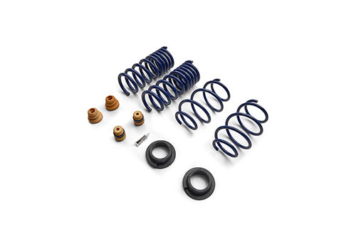 Ford Performance - 2015-2024 Mustang Street Lowering Spring Kit - M-5300-S65S