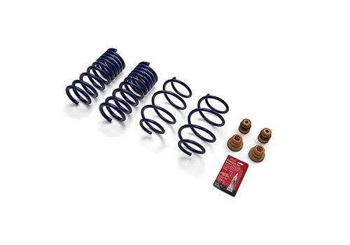 Ford Performance - 2015-2023 Mustang Street Lowering Spring Kit - M-5300-XA