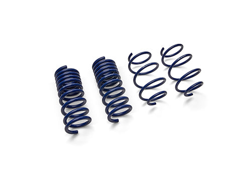 Ford Performance - 2015-2023 Mustang Street Lowering Spring Kit - M-5300-XA