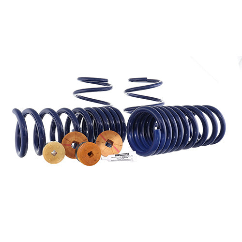 Ford Performance - 2015-2023 Mustang Track Lowering Spring Kit - M-5300-YA