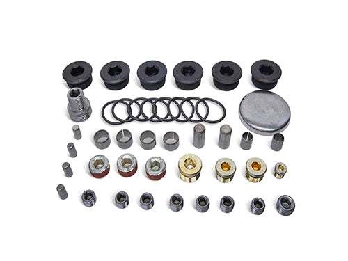 Ford Performance - Block Plug/dowel Kit for Z (aluminum) Blocks - M-6026-ZBLOCK