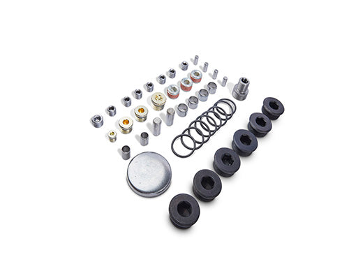 Ford Performance - Block Plug/dowel Kit for Z (aluminum) Blocks - M-6026-ZBLOCK