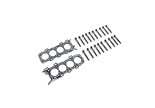 Ford Performance - Boss 302r Head Changing Kit - 11mm Head Bolts - M-6067-M50BR11