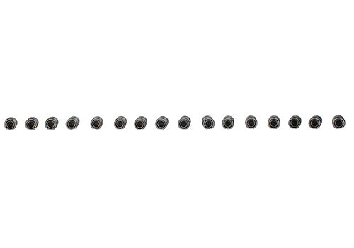 Ford Performance - Hydraulic Roller Cam Lifters - M-6500-R302