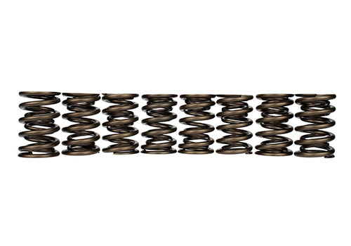 Ford Performance - Set of 8 Tvs-1734 Valve Springs - M-6513-17348
