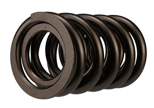 Ford Performance - Set of 8 Tvs-1734 Valve Springs - M-6513-17348